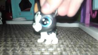 Littlest Pet Shop Farting Song