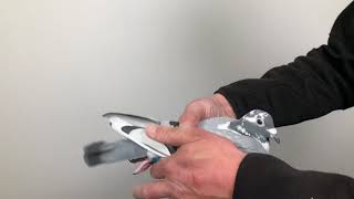 Van Dijck 922