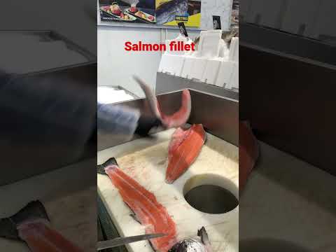 salmon fillet