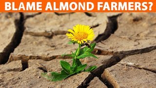 Why Almonds Are Slowly Turning California into Sahara? Why Almonds Are Slowly Turning California into Sahara?