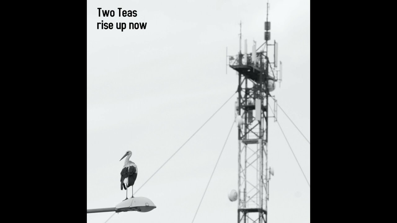 Two Teas - Rise Up Now