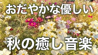 【癒しBGM】心が落ち着く優しいリラックス音楽、自律神経を整え不安やストレス解消のためのヒーリングミュージック/睡眠用・作業用・勉強用BGM