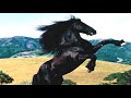 Horse Sounds Vol 3 