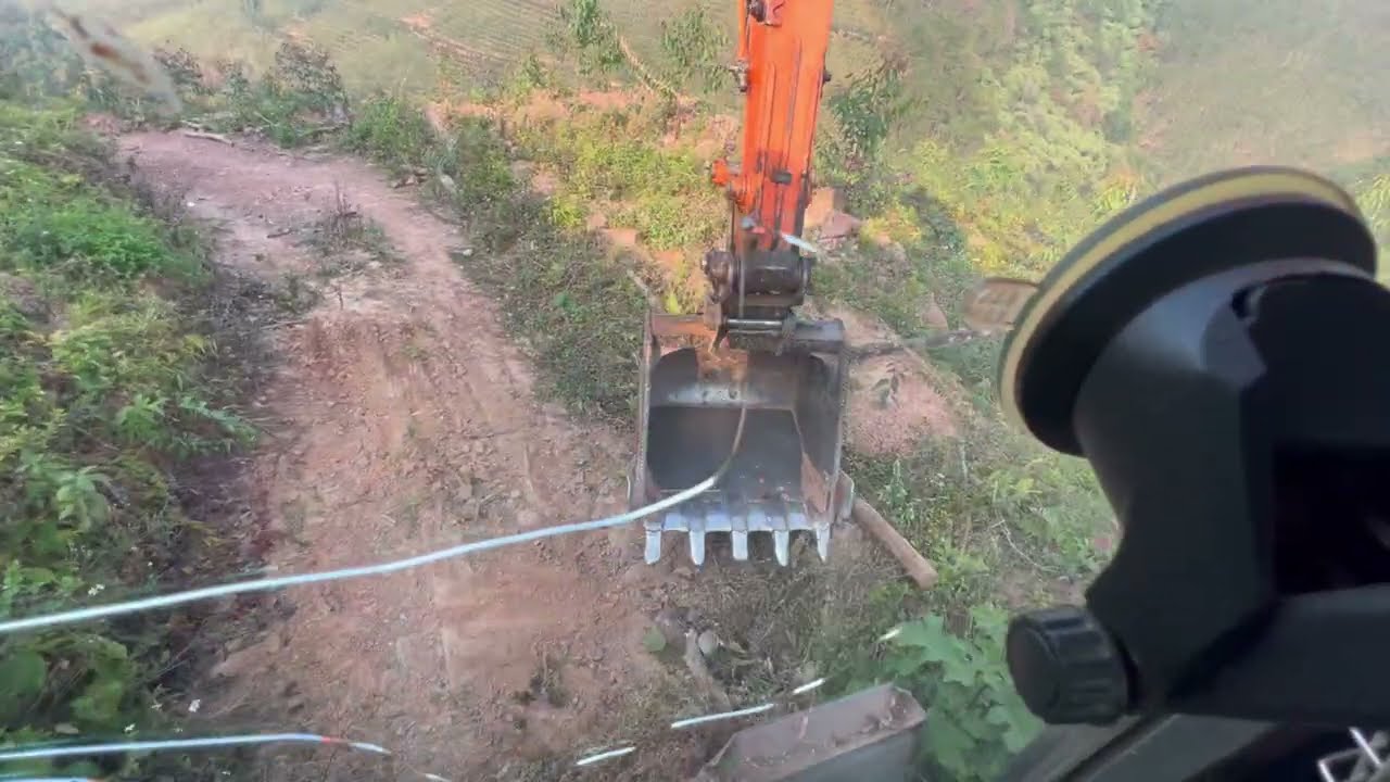 Excavator Skills: Building Logging Roads for Eucalyptus Harvest