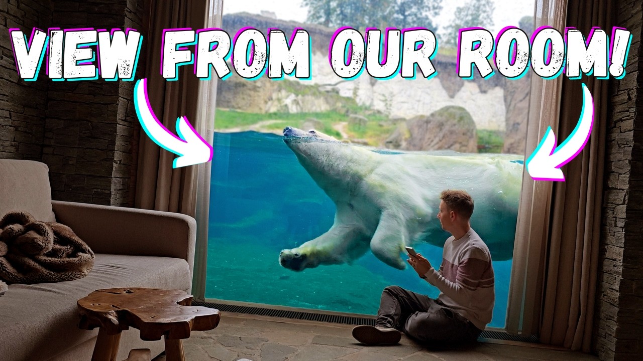 Просыпайтесь с белыми медведями в этом невероятном отеле! | Дом белого медведя Pairi Daiza (номер...