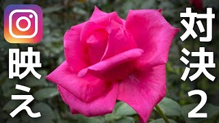 インスタ映え写真対決2