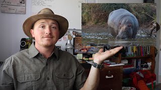 How Does A Hippo Breath Under Water? | Did You Know Thursday #07