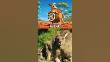 Anomaly with Reality Remix Opening Anime Part 21 | Eps 1 🤩😻🎉 #anomaly #tungtungsahur #brainrot #meme