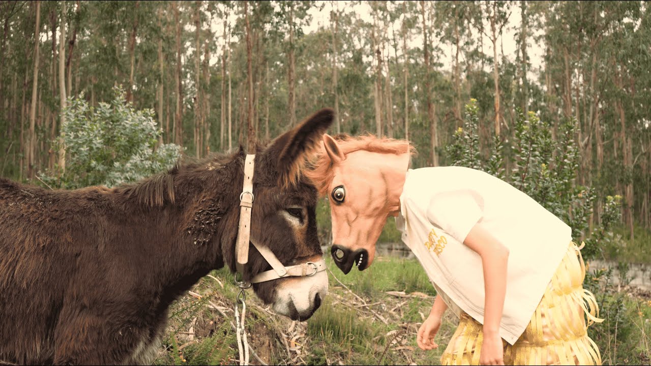 Party Tasco | Cavalo de Corrida