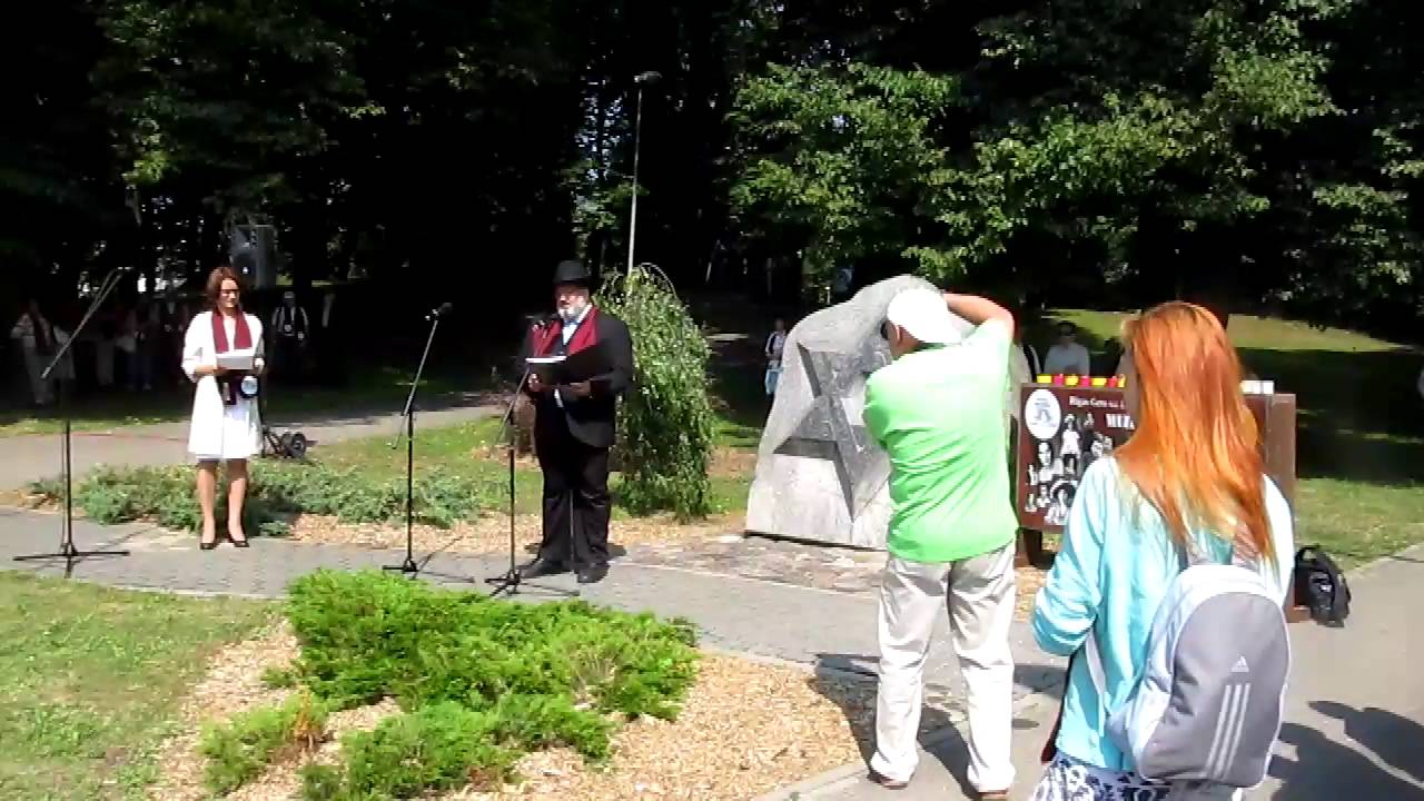 марш шаги живых 2013 кантор Барох Чауски   4111 MVI 4111n