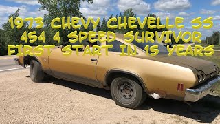1973 Chevy Chevelle SS 454 Muncie 4 Speed. Barn Find, Matching Numbers, First Start, Big Block.
