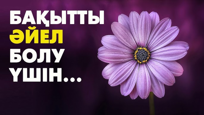 Қатаң бастық порно