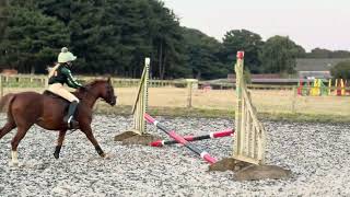 Practising A Mini Show Jump Course 50-60S