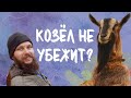 Круглосуточный выпас коз. Вечерняя управка на хозяйстве.