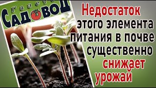 Недостаток этого элемента питания в почве существенно снижает урожай