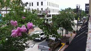LIVE Downtown DeLand | South Woodland Blvd | 2026-07-30 12 PM ET