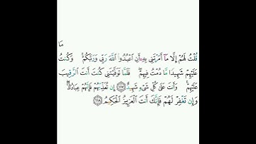 5 - سورة المائدة ١١٧-١١٨ - شيخ أبو بكر الشاطري