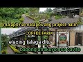 project update sa amadeo artisano coffee farm