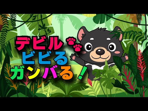 デビル・ビビる・ガンバる！（歌詞付き）🎵おかあさんといっしょ、タスマニアデビルのうた