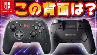 【まるでPDP？】4000円のスイッチ向け背面ボタン付きプロコン「BIGBIG Won」を使ってみたら・・？