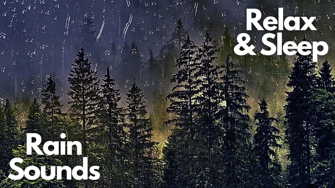 Rain in the dark forest. Rain sounds for sleeping. Nature sounds - YouTube