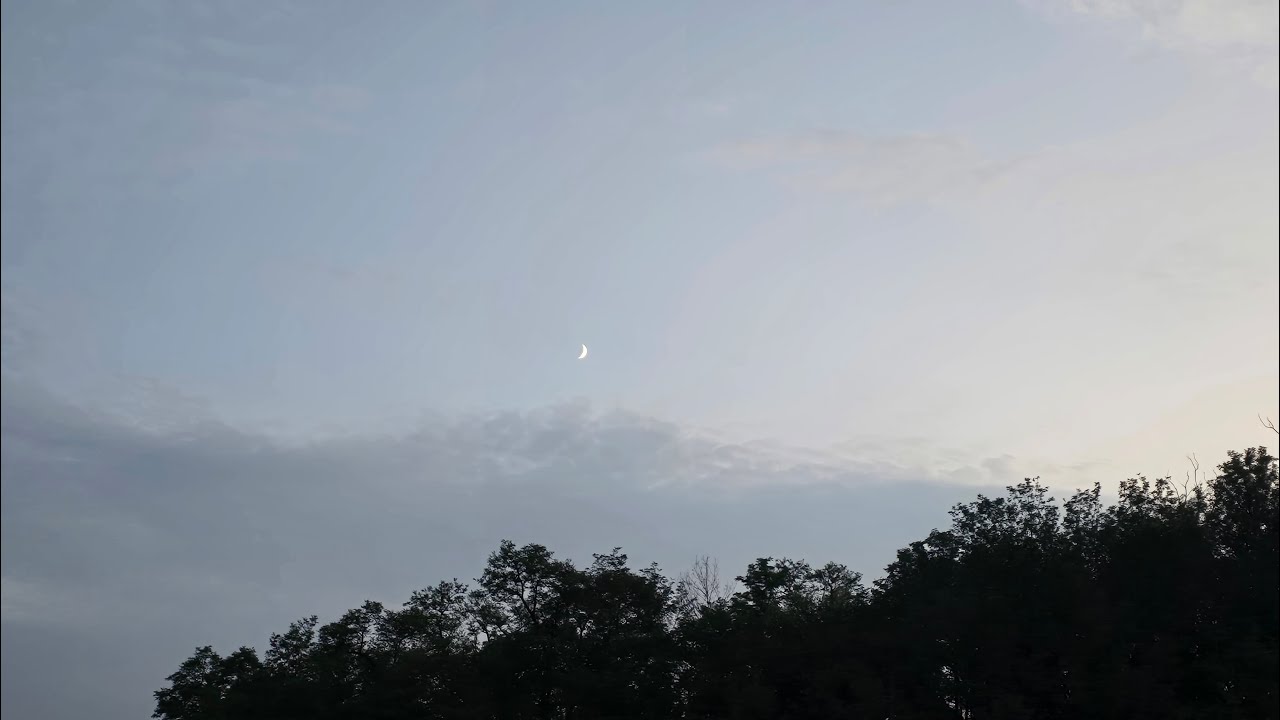 🌙 Soft slow chill lo-fi / One More Sip, One More Thought 🎧🖤