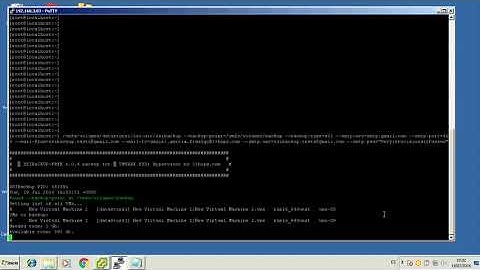 ©XSIBackup Tutorial II first backup  Free ©VMWare ©ESXi backup