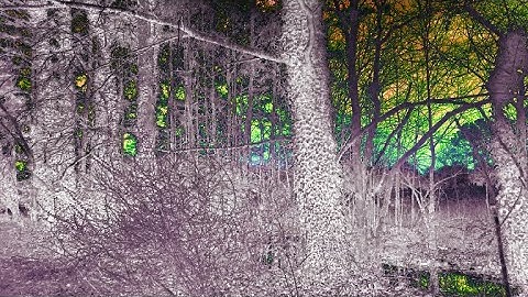 "microfreaked kaossilator" DAWless Live looping jam w/ psychedelic fx