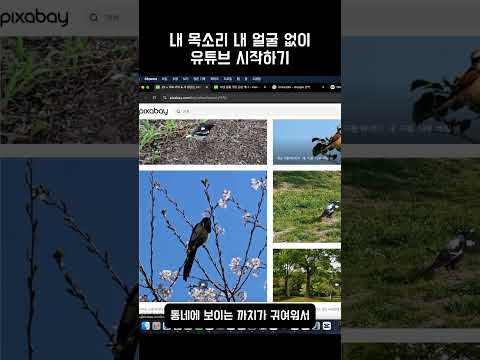 얼굴 없이 목소리 없이 유튜브 시작하기