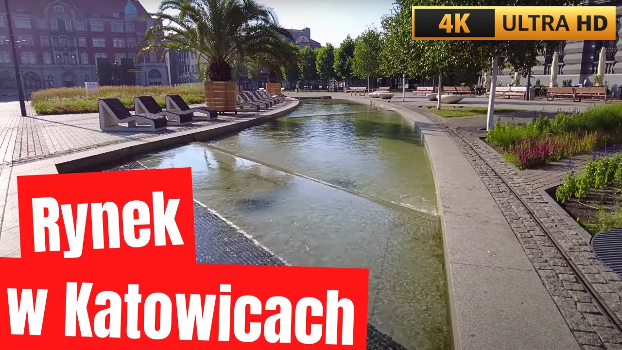 Rynek w Katowicach 🌴 Palmy w centrum miasta 🌴