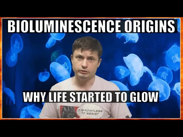 Major Secrets Revealed by First Bioluminescent Organism on Earth class=