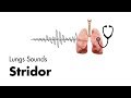 Stridor  lung sounds  medzcool