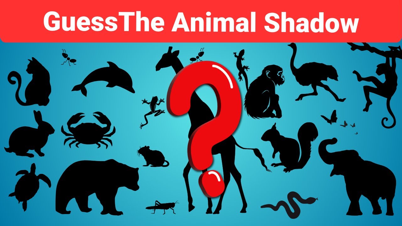 Guess the Animal from Its Shadow- Animal Quiz For Kids - YouTube