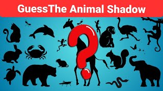 Guess the Animal from Its Shadow- Animal Quiz For Kids