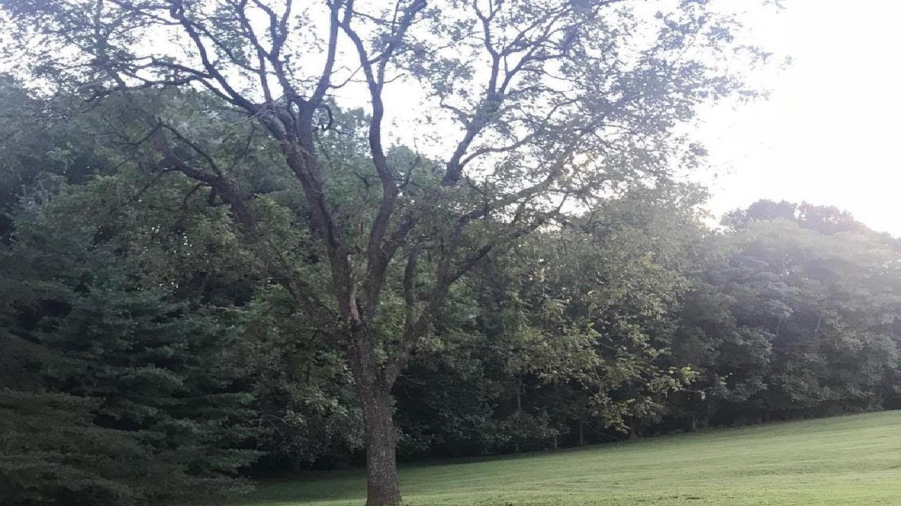 2704 CRYSTAL LANE, BALDWIN, MD Presented by Beth MacMillan.