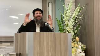הרב משה אביטל - אמונה יתרה