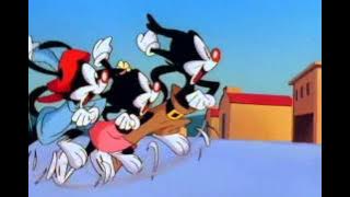 Animaniacs Season 1 Episode 1