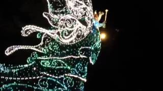 20140103 東京ディズニーランド エレクトリカルパレード その1