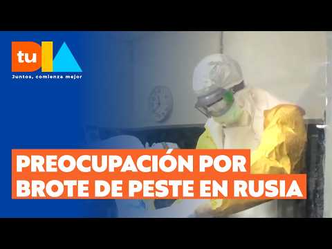 Pneumonic plague outbreak in Russia causes global alarm: 5 hospitals in quarantine and 2 dead