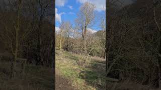 Exploring the wilderness in Wetherby. Part 2 #wetherby #yorkshire