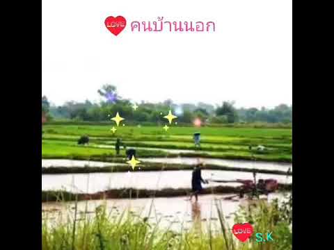 คนบ้านนอก วันไซ สมสุก เพลงลาว