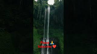#nature #shortvideo #shortsvideo #shorts #short #youtubeshorts #trending #viralvideo #video #fyp