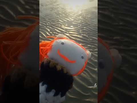 الطقس أثناء المد والجزر في رأس سدر في مغامرات عروسة موجيتي عروسةموجيتي الطقس