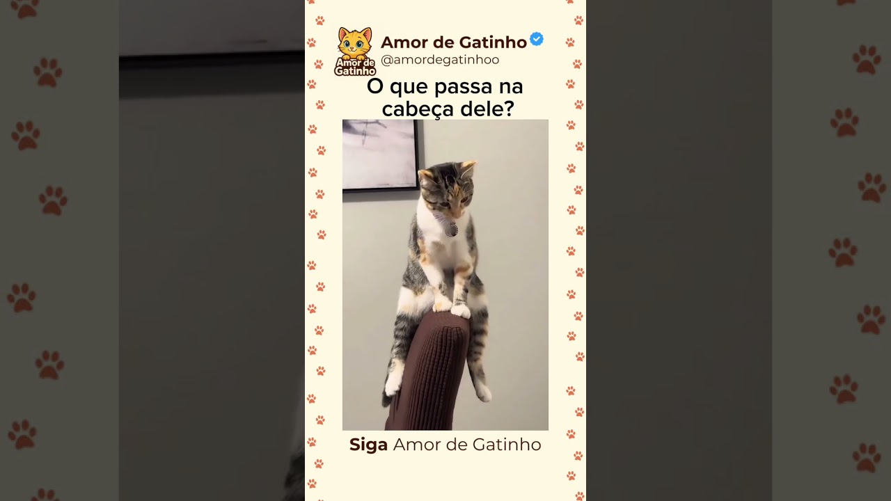 O que afligi essa belezinha?