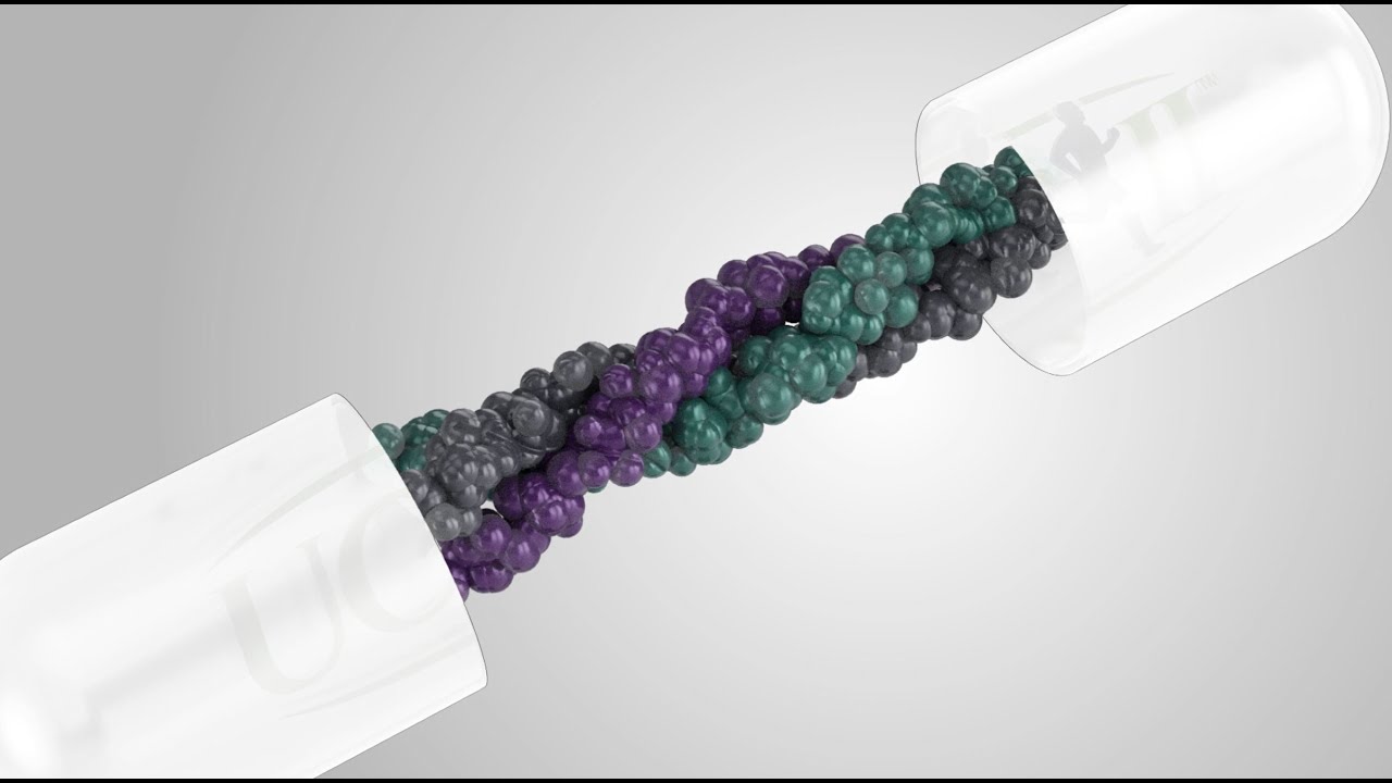 UC II® Mode of action