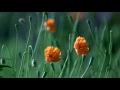 もういちど...愛/深谷二郎 Cover♪
