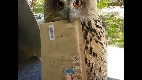 Start a SaaS Business with Just a Plugin | WP CV Builder = Smart Passive Income 💡