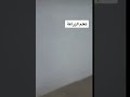 زراعة فائدة الهيوميك اسد و السماد السمكي للنبات 
