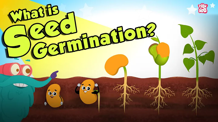 What Is Seed Germination? | SEED GERMINATION | Plant Germination | Dr Binocs Show | Peekaboo Kidz - DayDayNews