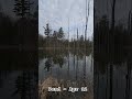 Pond - Apr 12 #ottawa #nature #canada #pond